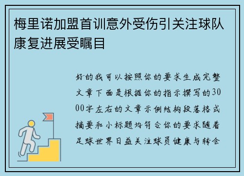 梅里诺加盟首训意外受伤引关注球队康复进展受瞩目